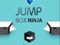 Xogo Jump Box Ninja
