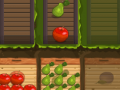 Xogo Fruit Gardener