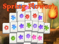 Xogo Spring Flower