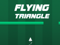Xogo Flying Triangle