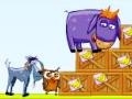 Xogo Donkey Sean