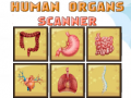 Xogo Human Organs Scanner