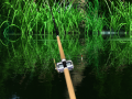 Xogo Green Lake 