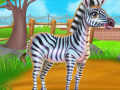 Xogo Zebra Caring