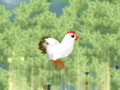 Xogo Chickaboom