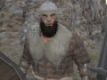 Xogo Vikings Aggression