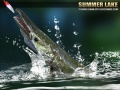 Xogo Summer Lake 1.5