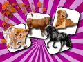Xogo Domestic Animal Memory Challenge