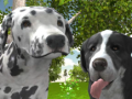 Xogo Dog Simulator 3d