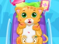 Xogo Little Cat Doctor
