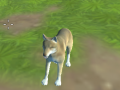Xogo Wolf Simulator