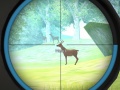 Xogo Hunter Training
