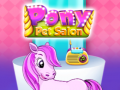 Xogo Pony Pet Salon