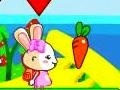 Xogo Brother and sister rabbits
