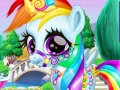 Xogo Rainbow Pony Caring