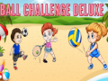 Xogo Ball Challenge Deluxe