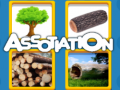 Xogo Assotiation 
