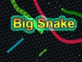 Xogo Big Snake