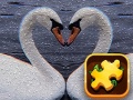Xogo Swan Puzzle Challenge