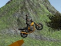 Xogo Dirt Bike Rider
