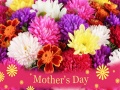 Xogo 2019 Mother's Day Puzzle