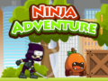 Xogo Ninja Adventure