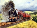 Xogo Train Journeys Puzzle