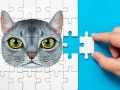 Xogo Abyssinian Puzzle Challenge