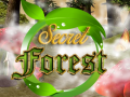 Xogo Secret Forest