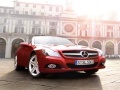 Xogo SL Roadster Puzzle