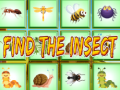 Xogo Find The Insect