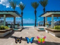 Xogo Find 100 butterflies