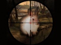 Xogo Classical Rabbit Sniper Hunting 2019