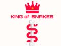 Xogo King Of Snakes