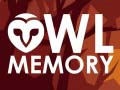 Xogo Owl Memory