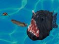 Xogo Fish 3d