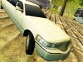 Xogo Limousine Driver