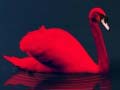 Xogo Love Birds Puzzle