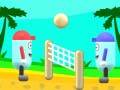 Xogo Beach Volleyball