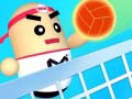 Xogo Amazing Volleyball