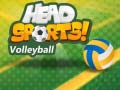 Xogo Head Sports Volleyball