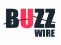 Xogo Buzz Wire