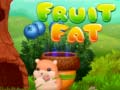 Xogo Fruit Fat