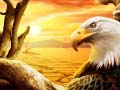 Xogo Eagle