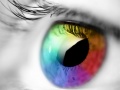 Xogo Colours And Designs
