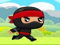 Xogo Ninja