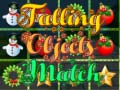 Xogo Falling Objects Match 