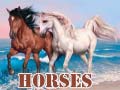 Xogo Horses