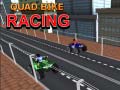 Xogo Quad Bike Racing