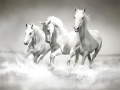 Xogo Horses Puzzle